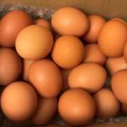 ヒメ日記 2026/03/31 18:04 投稿 ちか 佐賀人妻デリヘル 「デリ夫人」