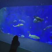 ヒメ日記 2026/04/01 22:18 投稿 ちか 佐賀人妻デリヘル 「デリ夫人」