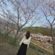 ヒメ日記 2026/04/02 07:45 投稿 ちか 佐賀人妻デリヘル 「デリ夫人」