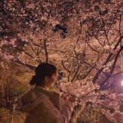 ヒメ日記 2026/04/04 23:26 投稿 ちか 佐賀人妻デリヘル 「デリ夫人」