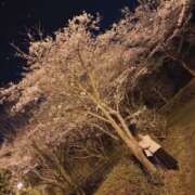 ヒメ日記 2026/04/05 03:08 投稿 ちか 佐賀人妻デリヘル 「デリ夫人」