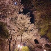 ヒメ日記 2026/04/06 00:19 投稿 ちか 佐賀人妻デリヘル 「デリ夫人」