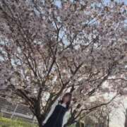 ヒメ日記 2026/04/06 07:05 投稿 ちか 佐賀人妻デリヘル 「デリ夫人」