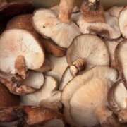 ヒメ日記 2026/04/08 17:19 投稿 ちか 佐賀人妻デリヘル 「デリ夫人」