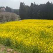 ヒメ日記 2026/04/10 09:07 投稿 ちか 佐賀人妻デリヘル 「デリ夫人」