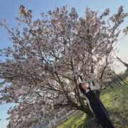 ヒメ日記 2026/04/11 14:06 投稿 ちか 佐賀人妻デリヘル 「デリ夫人」