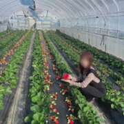 ヒメ日記 2026/04/11 22:20 投稿 ちか 佐賀人妻デリヘル 「デリ夫人」