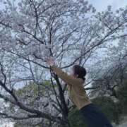 ヒメ日記 2026/04/13 09:36 投稿 ちか 佐賀人妻デリヘル 「デリ夫人」