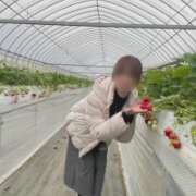 ヒメ日記 2026/04/22 20:57 投稿 ちか 佐賀人妻デリヘル 「デリ夫人」