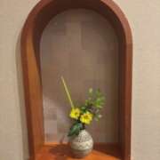 ヒメ日記 2026/05/03 18:23 投稿 ちか 佐賀人妻デリヘル 「デリ夫人」