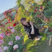 ヒメ日記 2026/05/20 00:17 投稿 ちか 佐賀人妻デリヘル 「デリ夫人」