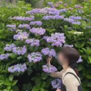 ヒメ日記 2026/05/26 07:13 投稿 ちか 佐賀人妻デリヘル 「デリ夫人」