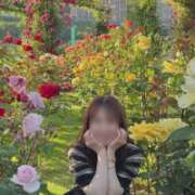 ヒメ日記 2026/05/28 00:27 投稿 ちか 佐賀人妻デリヘル 「デリ夫人」