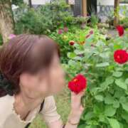 ヒメ日記 2026/06/22 22:30 投稿 ちか 佐賀人妻デリヘル 「デリ夫人」