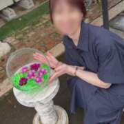 ヒメ日記 2026/07/28 09:53 投稿 ちか 佐賀人妻デリヘル 「デリ夫人」