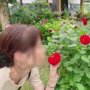 ヒメ日記 2026/07/28 15:33 投稿 ちか 佐賀人妻デリヘル 「デリ夫人」