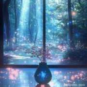 ヒメ日記 2024/12/13 23:59 投稿 ふうみ 久留米デリヘルセンター