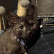 ヒメ日記 2025/02/01 03:46 投稿 ふうみ 久留米デリヘルセンター