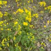 ヒメ日記 2025/03/07 16:56 投稿 ふうみ 久留米デリヘルセンター