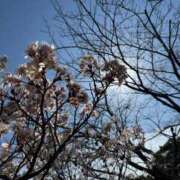 ヒメ日記 2025/03/14 15:16 投稿 ふうみ 久留米デリヘルセンター