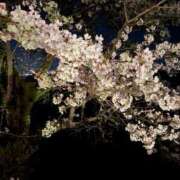 ヒメ日記 2025/04/05 22:16 投稿 ふうみ 久留米デリヘルセンター