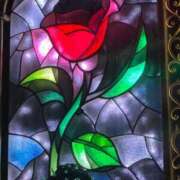 ヒメ日記 2025/09/26 21:58 投稿 はのん 11チャンネル