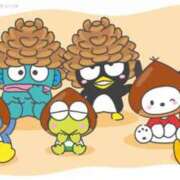 ヒメ日記 2025/10/17 20:28 投稿 はのん 11チャンネル