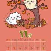 ヒメ日記 2025/11/09 20:18 投稿 はのん 11チャンネル