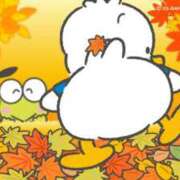 ヒメ日記 2025/11/20 08:59 投稿 はのん 11チャンネル