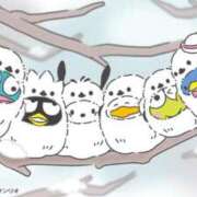 ヒメ日記 2026/01/20 17:30 投稿 はのん 11チャンネル