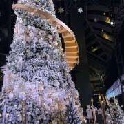 ヒメ日記 2025/12/12 18:15 投稿 れいか ∞ (はっち)