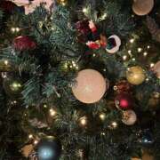 ヒメ日記 2025/12/22 20:50 投稿 れいか ∞ (はっち)