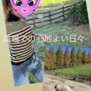 ヒメ日記 2025/12/27 07:23 投稿 アーシャ 逢って30秒で即尺