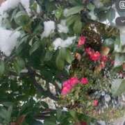 ヒメ日記 2026/01/14 06:18 投稿 アーシャ 逢って30秒で即尺