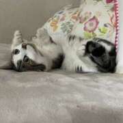 ヒメ日記 2024/12/12 09:28 投稿 まりか 人妻花かんざし