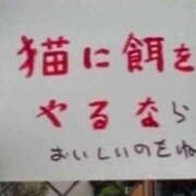 ヒメ日記 2024/12/18 09:39 投稿 まりか 人妻花かんざし