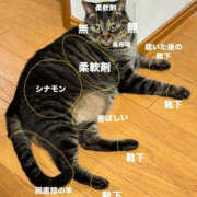 ヒメ日記 2025/01/30 09:36 投稿 まりか 人妻花かんざし