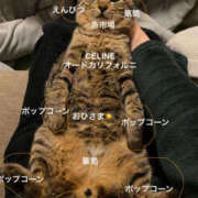 ヒメ日記 2025/02/01 09:36 投稿 まりか 人妻花かんざし