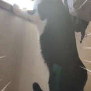 ヒメ日記 2025/02/09 09:39 投稿 まりか 人妻花かんざし