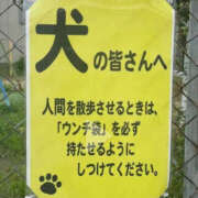 ヒメ日記 2025/02/12 09:41 投稿 まりか 人妻花かんざし