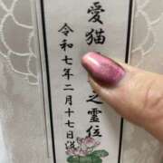 ヒメ日記 2025/02/22 09:36 投稿 まりか 人妻花かんざし