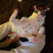 ヒメ日記 2025/03/06 09:38 投稿 まりか 人妻花かんざし