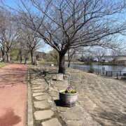 ヒメ日記 2025/03/23 09:36 投稿 まりか 人妻花かんざし