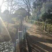 ヒメ日記 2025/03/27 09:36 投稿 まりか 人妻花かんざし