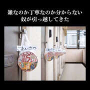 ヒメ日記 2025/04/02 09:57 投稿 まりか 人妻花かんざし