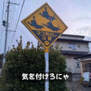 ヒメ日記 2025/04/13 09:40 投稿 まりか 人妻花かんざし