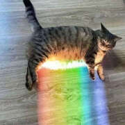 ヒメ日記 2025/05/18 09:38 投稿 まりか 人妻花かんざし