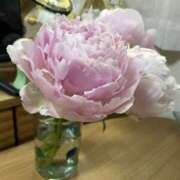 ヒメ日記 2025/05/28 09:39 投稿 まりか 人妻花かんざし