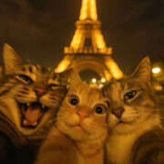 ヒメ日記 2025/06/11 09:36 投稿 まりか 人妻花かんざし