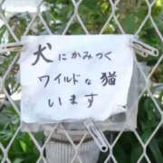 ヒメ日記 2025/06/15 09:36 投稿 まりか 人妻花かんざし
